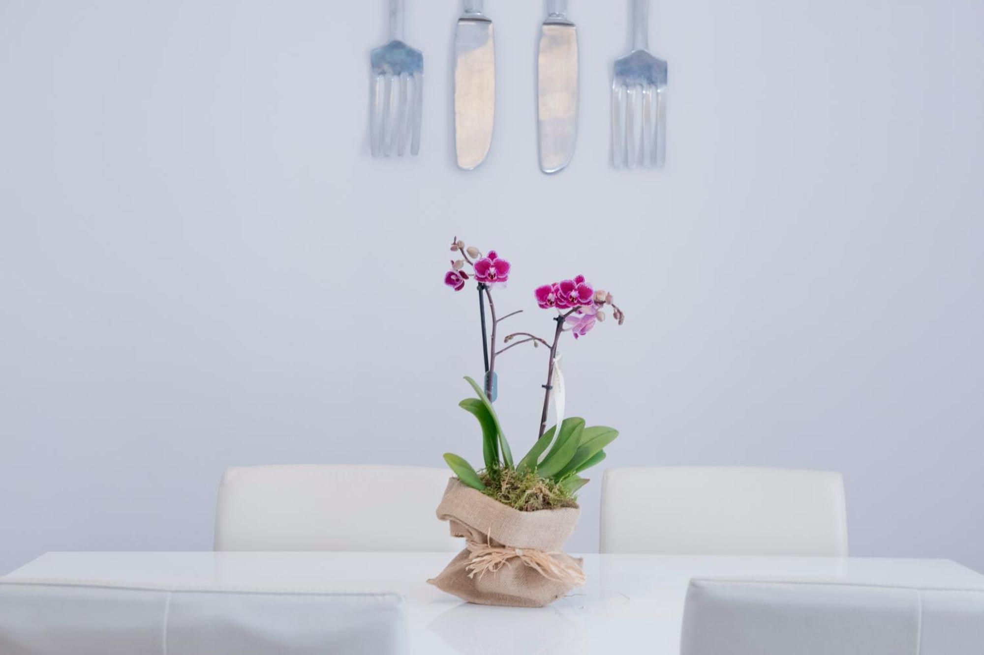 Apartamento Gaudi-Sant Pau Barcelona Luaran gambar