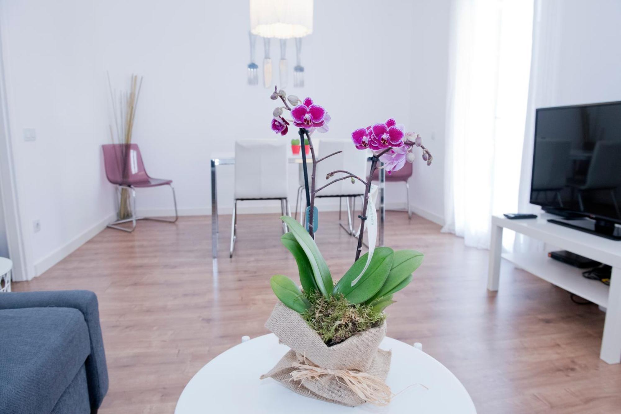 Apartamento Gaudi-Sant Pau Barcelona Luaran gambar